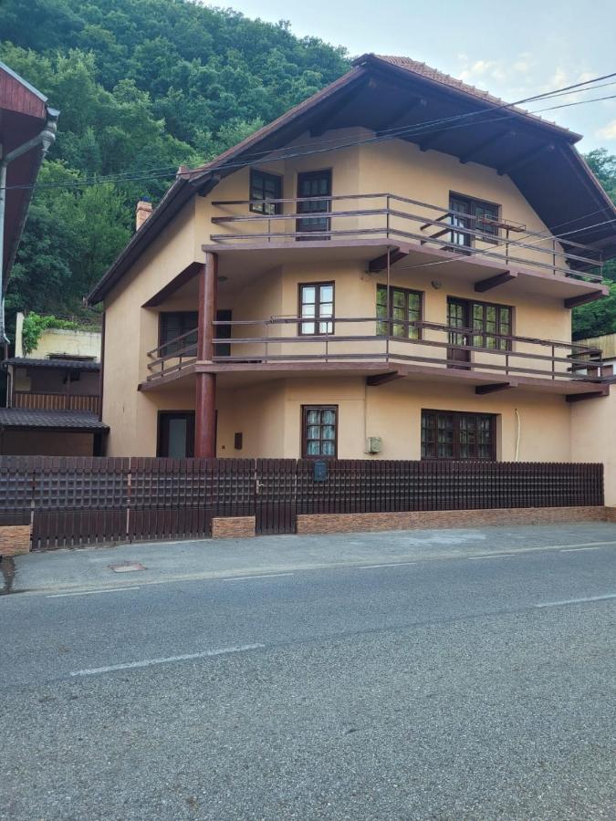 Villa Casa Basu Băile Herculane Exterior foto