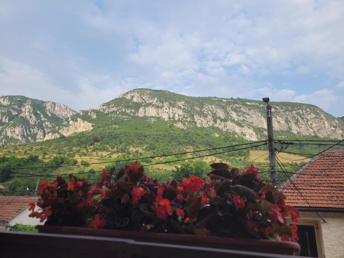 Villa Casa Basu Băile Herculane Exterior foto